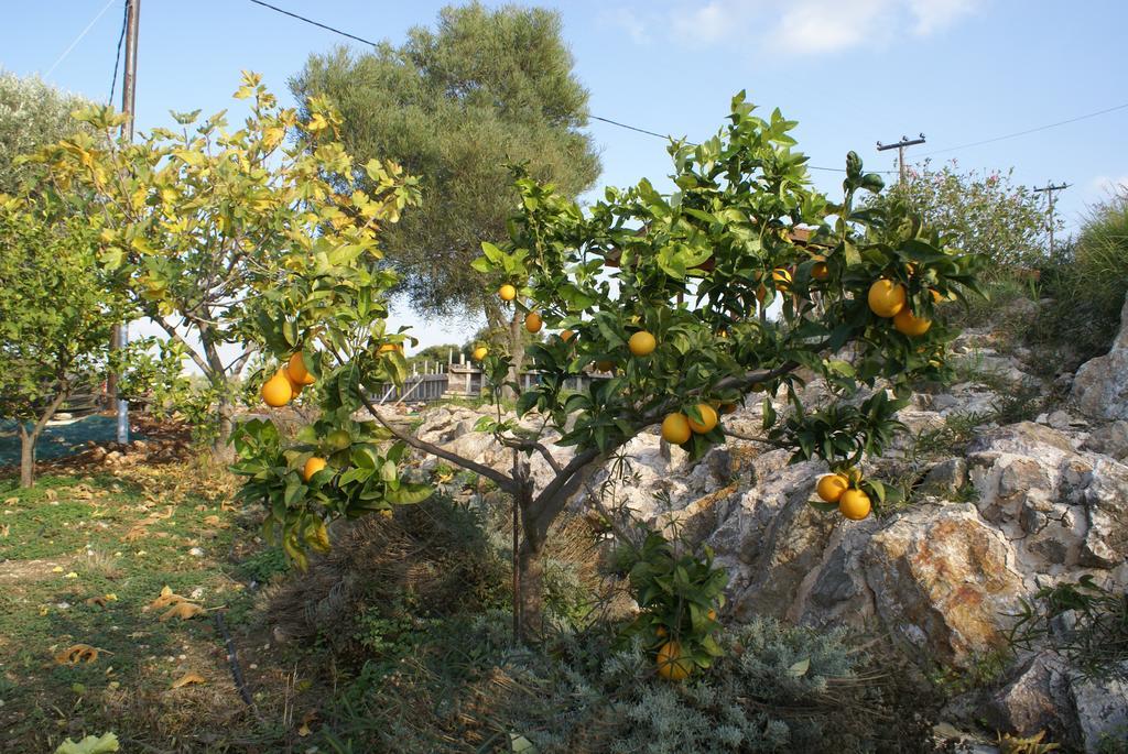 O Ioannis Villa Kritinia Luaran gambar