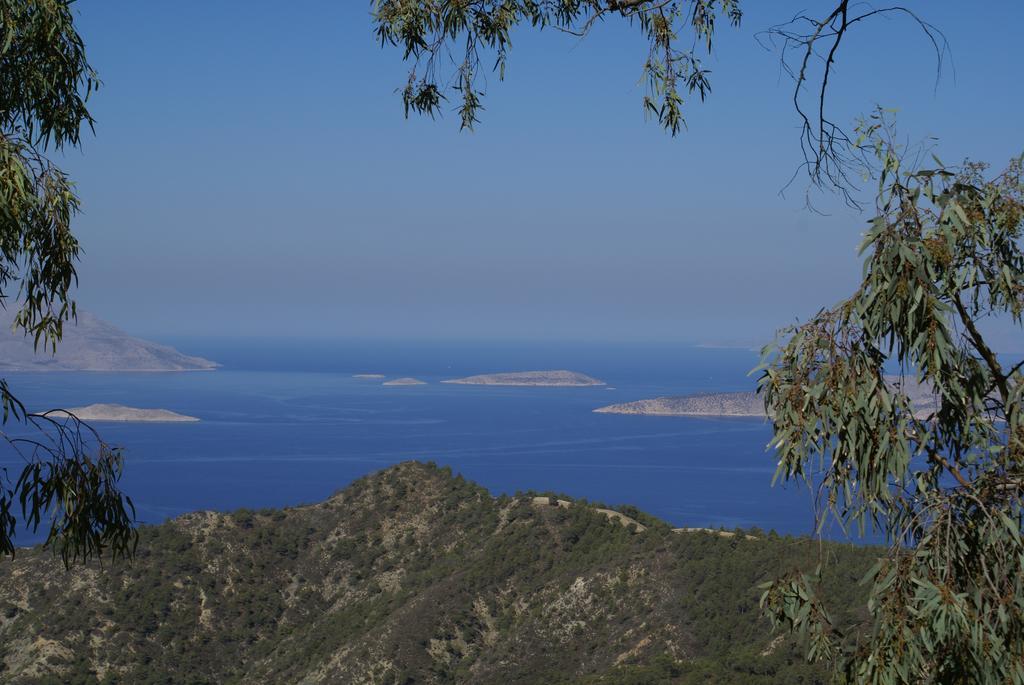 O Ioannis Villa Kritinia Luaran gambar