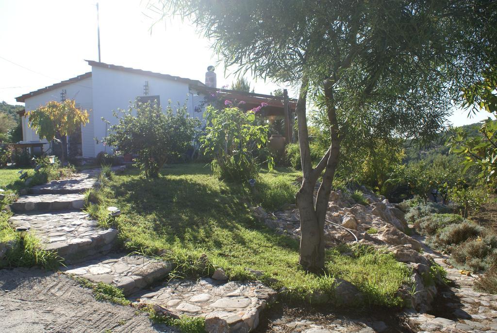 O Ioannis Villa Kritinia Luaran gambar
