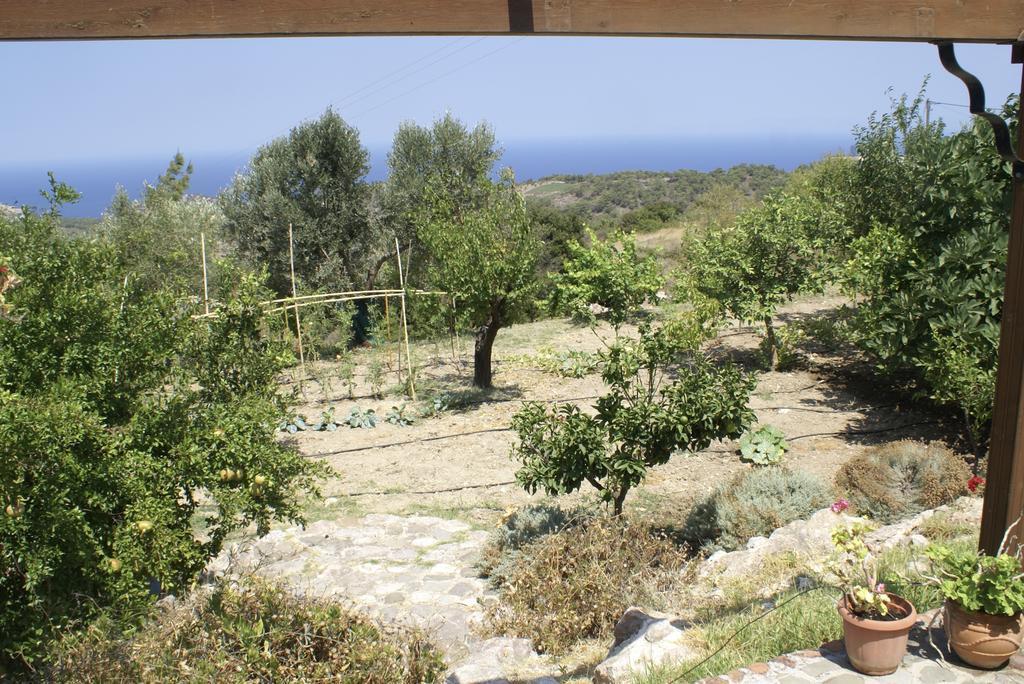 O Ioannis Villa Kritinia Luaran gambar